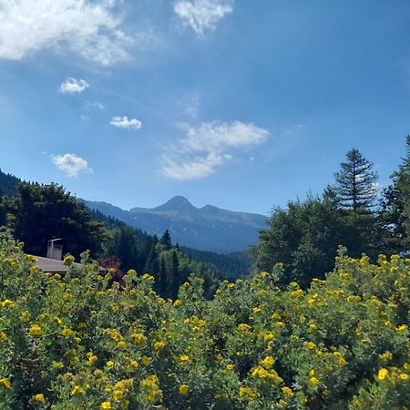 Duplex 59M2 - Proche Centre - Balcon Plein Sud Lägenhet Corrençon-en-Vercors Exteriör bild