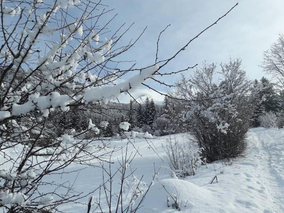 Duplex 59M2 - Proche Centre - Balcon Plein Sud Lägenhet Corrençon-en-Vercors Exteriör bild
