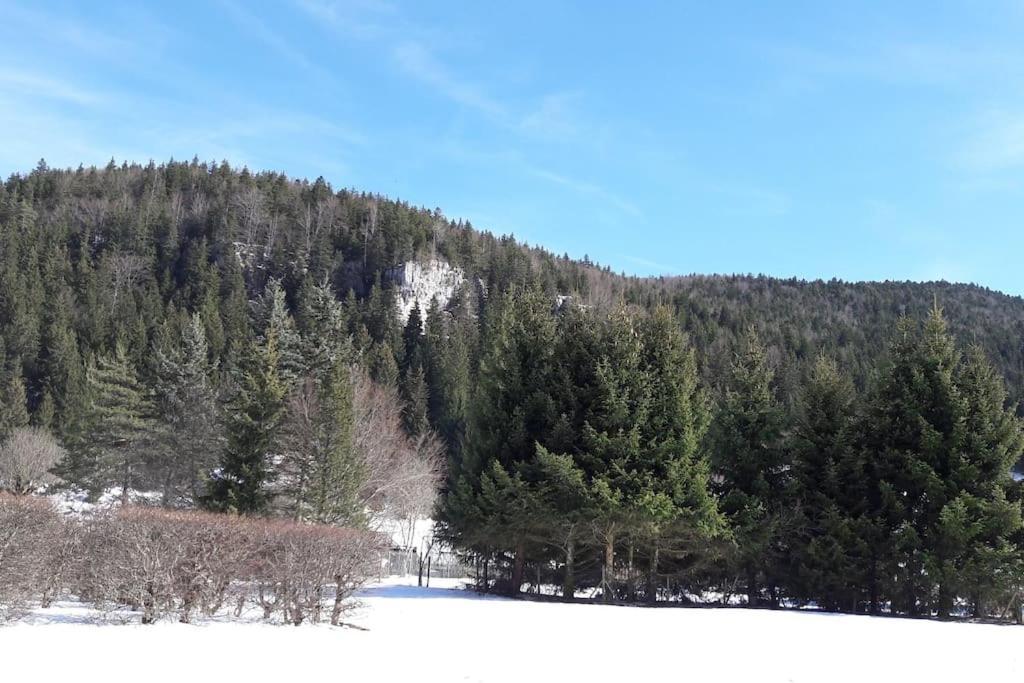 Duplex 59M2 - Proche Centre - Balcon Plein Sud Lägenhet Corrençon-en-Vercors Exteriör bild