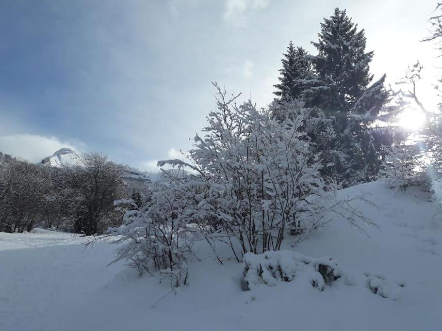 Duplex 59M2 - Proche Centre - Balcon Plein Sud Lägenhet Corrençon-en-Vercors Exteriör bild