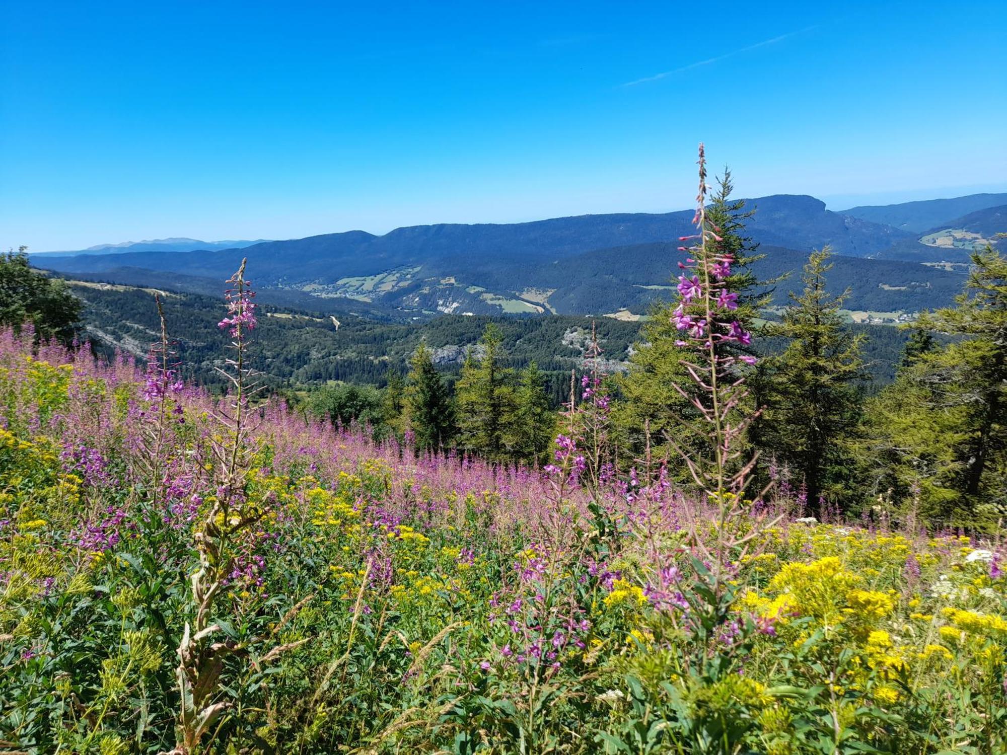 Duplex 59M2 - Proche Centre - Balcon Plein Sud Lägenhet Corrençon-en-Vercors Exteriör bild