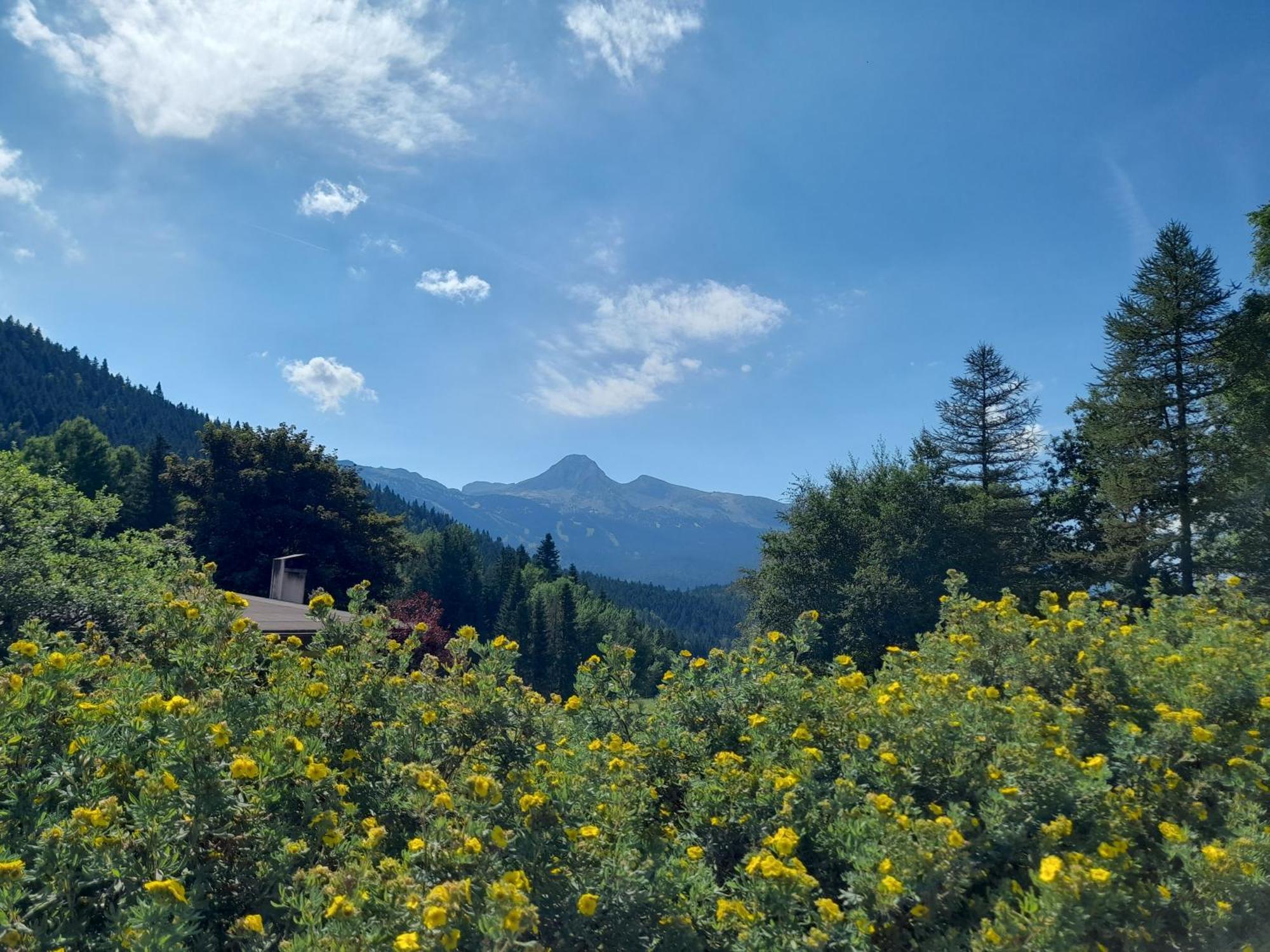 Duplex 59M2 - Proche Centre - Balcon Plein Sud Lägenhet Corrençon-en-Vercors Exteriör bild