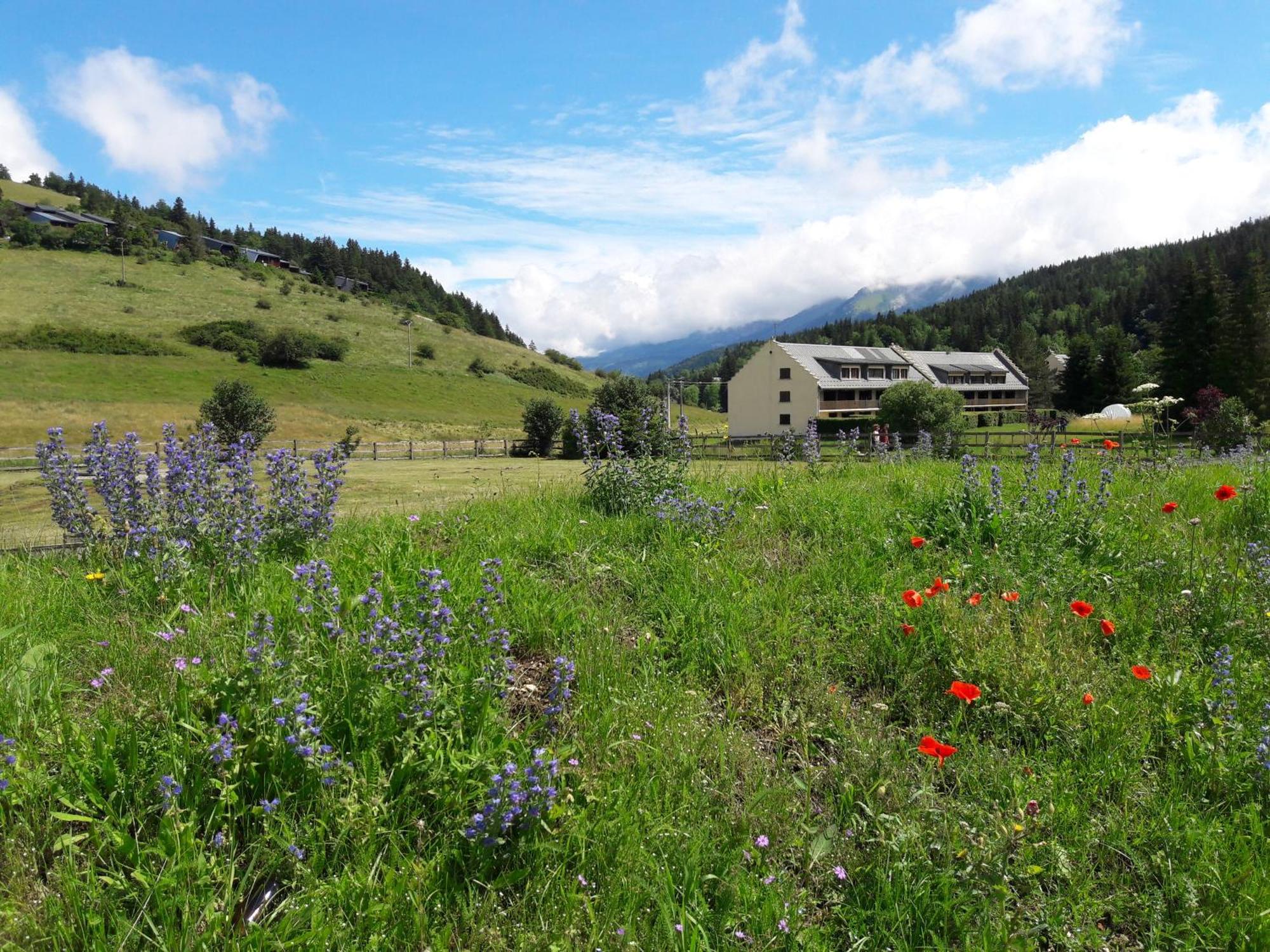Duplex 59M2 - Proche Centre - Balcon Plein Sud Lägenhet Corrençon-en-Vercors Exteriör bild